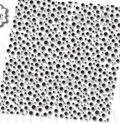 Scattered Dots Embossing Folder